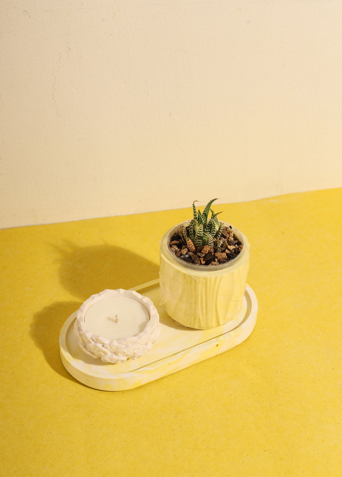 The Perfect Planter Bundle