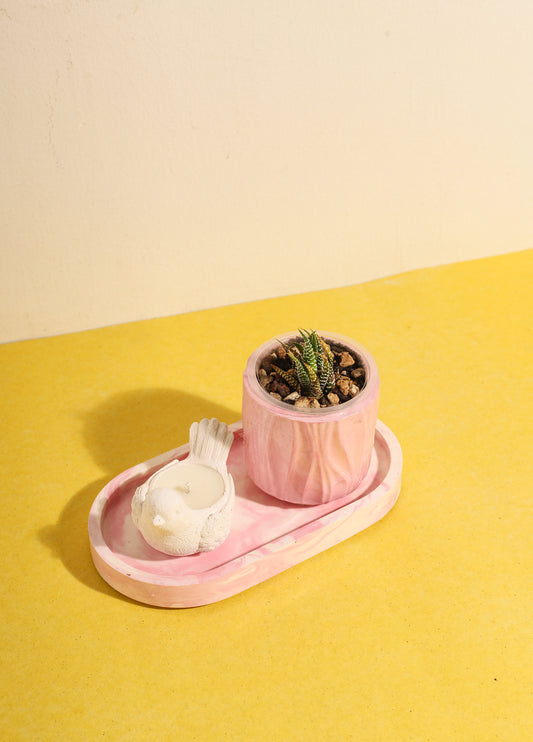 The Perfect Planter Bundle