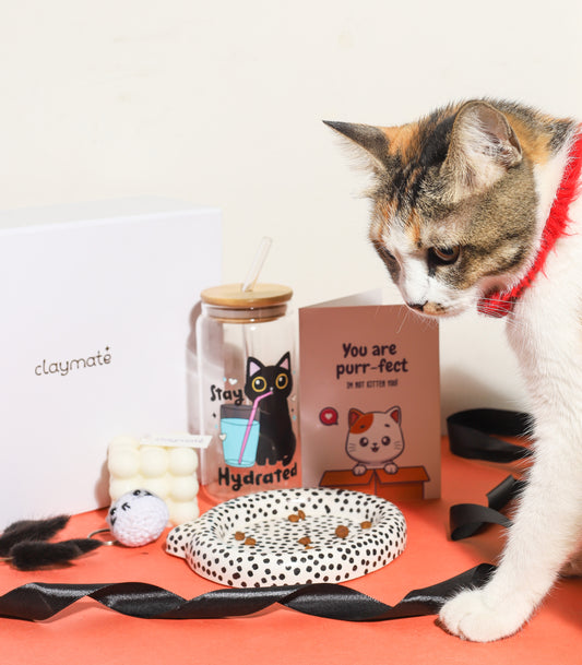 Cute cat-themed gift box featuring a ‘You are purr-fect’ greeting card, cat crochet keychain, bubble candle, black cat hydration tumbler, and polka dot ceramic dish on an orange background.