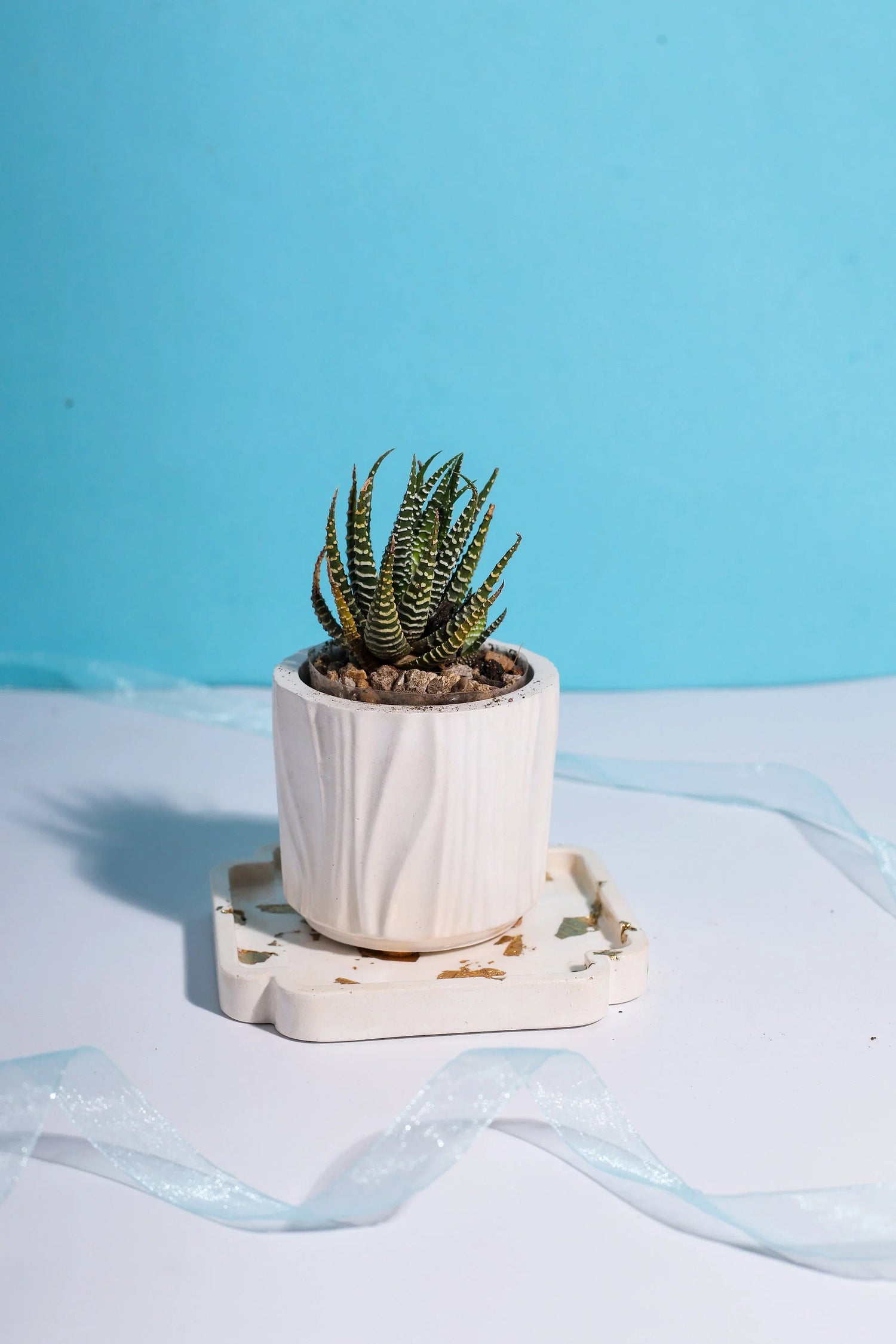 Budget-friendly Gifts