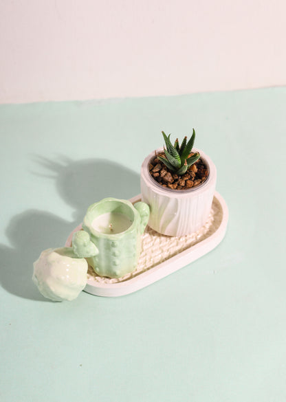 Plant Lovers Bundle