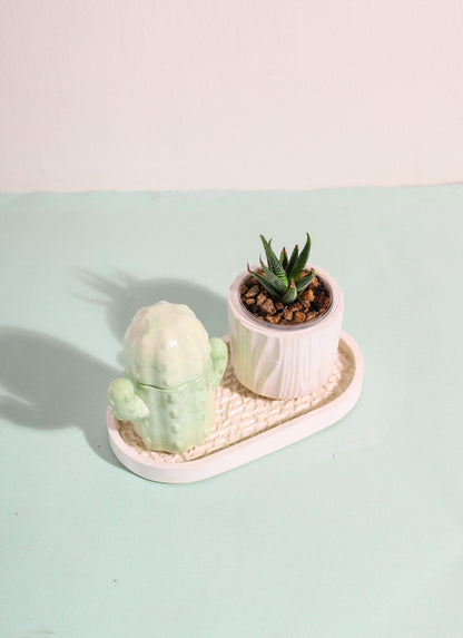 Plant Lovers Bundle