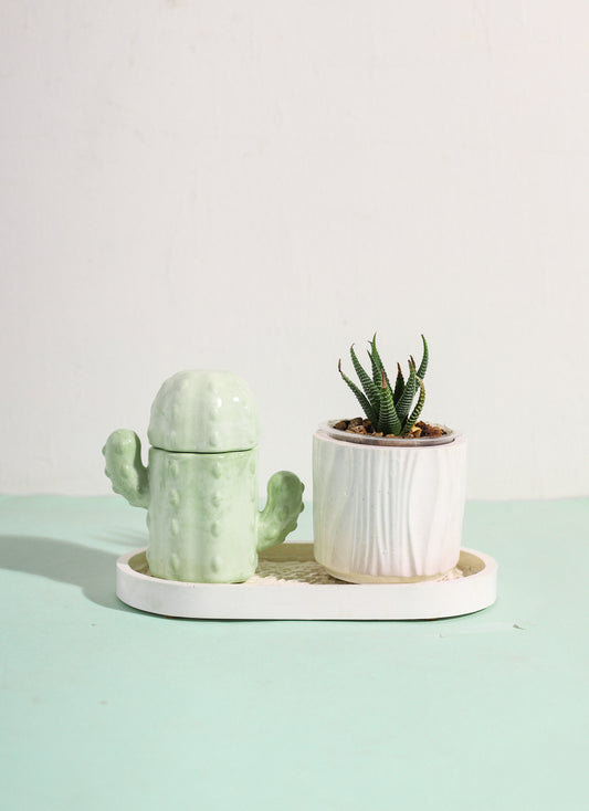 Plant Lovers Bundle