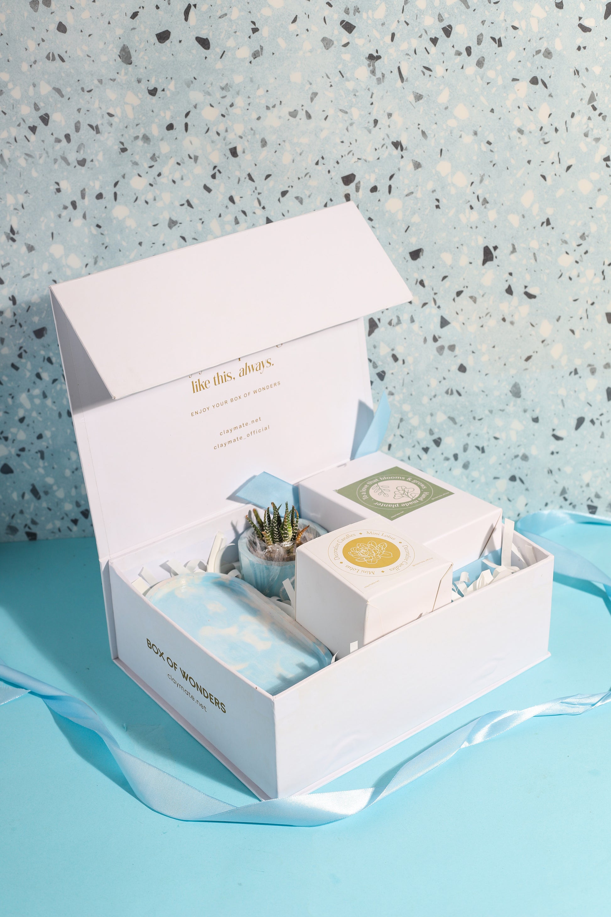 A white gift box with a blue ribbon sits beside a small zebra plant in a blue planter, a sculpted white candle on a marbled blue tray all displayed on a blue background.