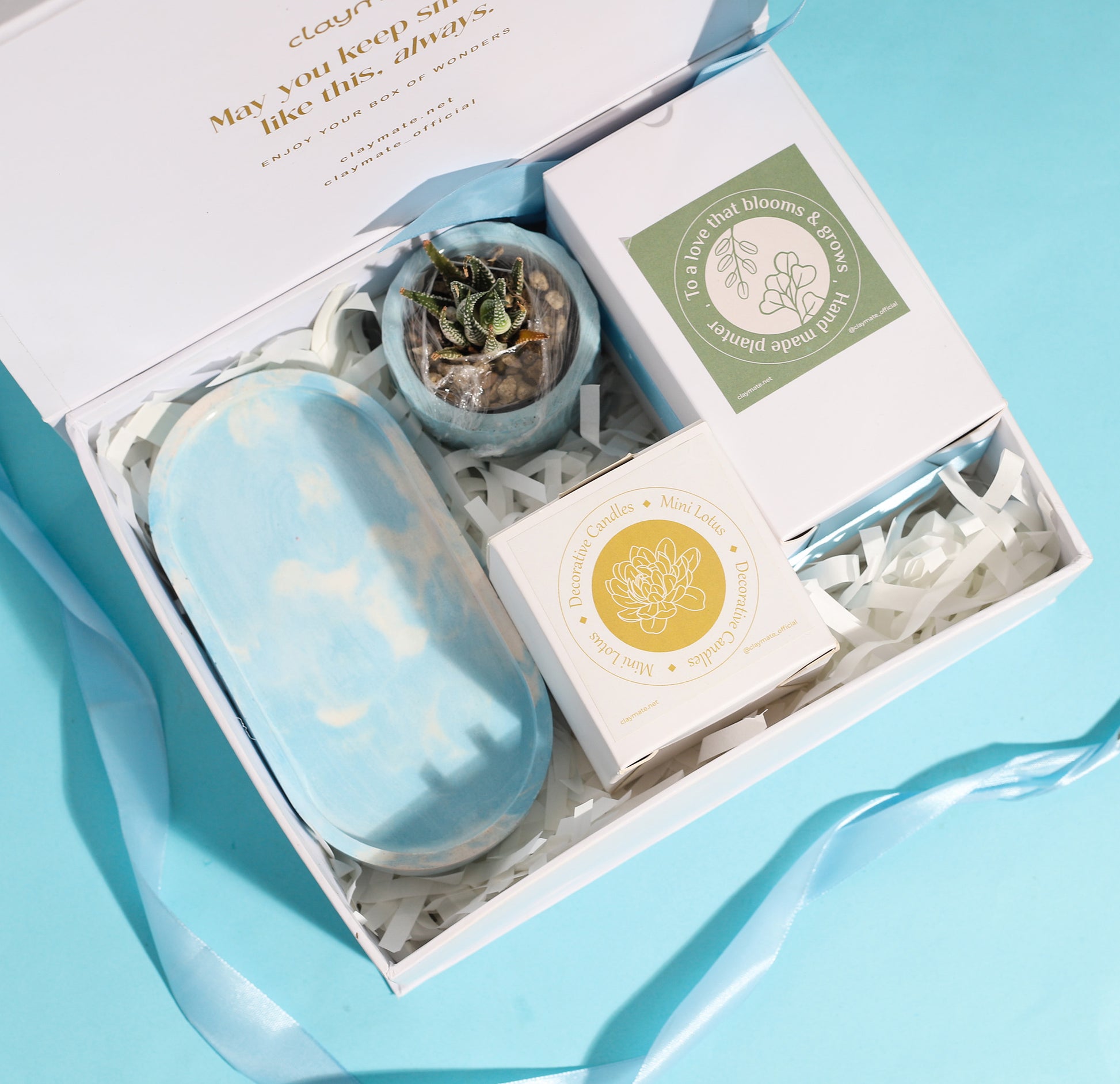 A white gift box with a blue ribbon sits beside a small zebra plant in a blue planter, a sculpted white candle on a marbled blue tray all displayed on a blue background.