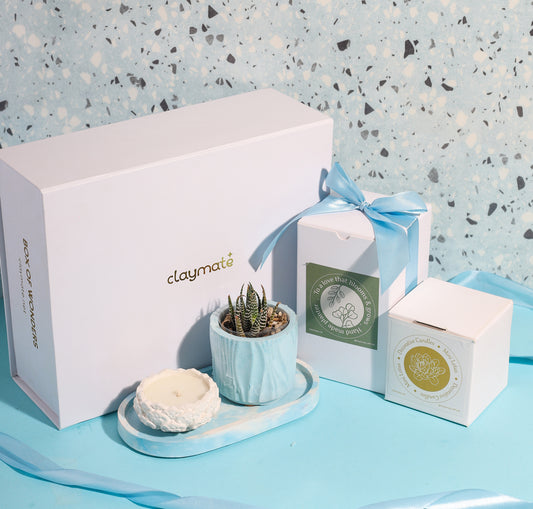 A white gift box with a blue ribbon sits beside a small zebra plant in a blue planter, a sculpted white candle on a marbled blue tray all displayed on a blue background.