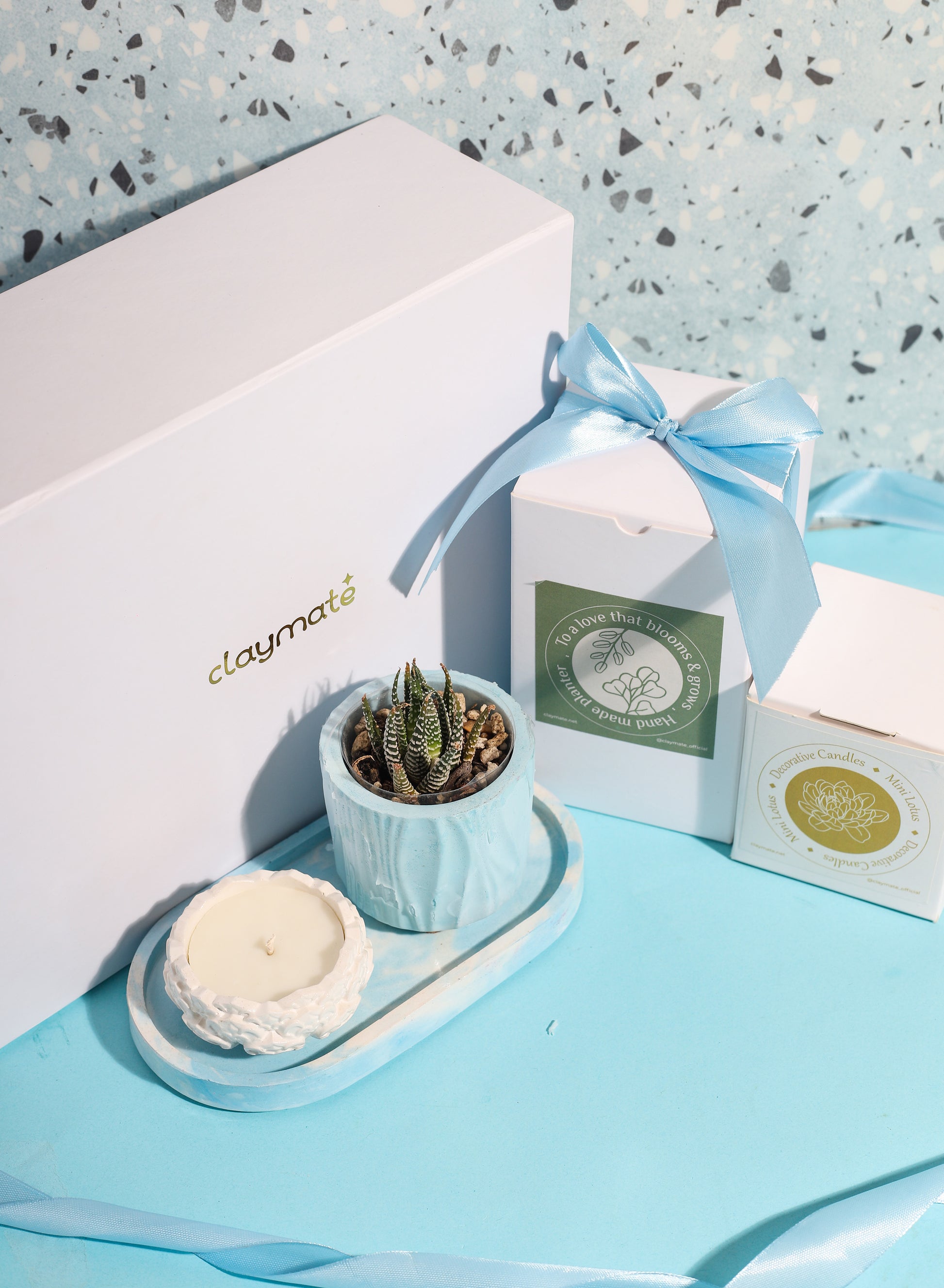 A white gift box with a blue ribbon sits beside a small zebra plant in a blue planter, a sculpted white candle on a marbled blue tray all displayed on a blue background.