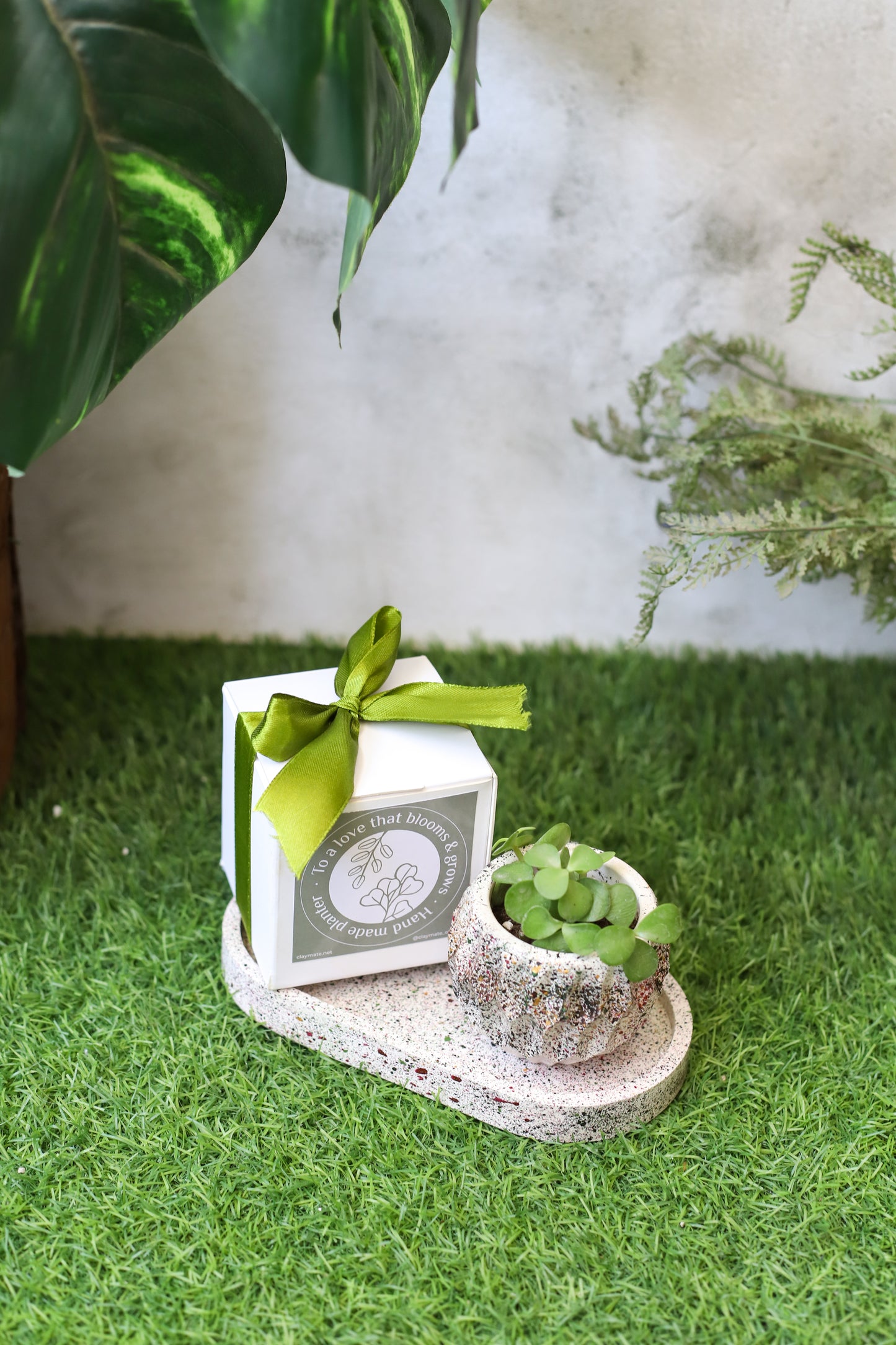 Planter with Gift Box