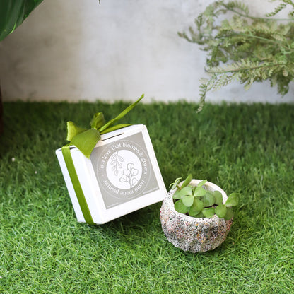 Planter with Gift Box