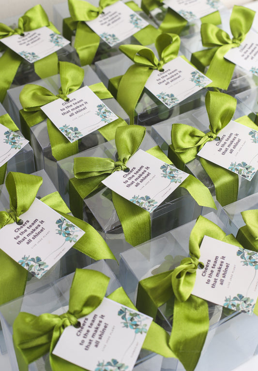 Planter Favors