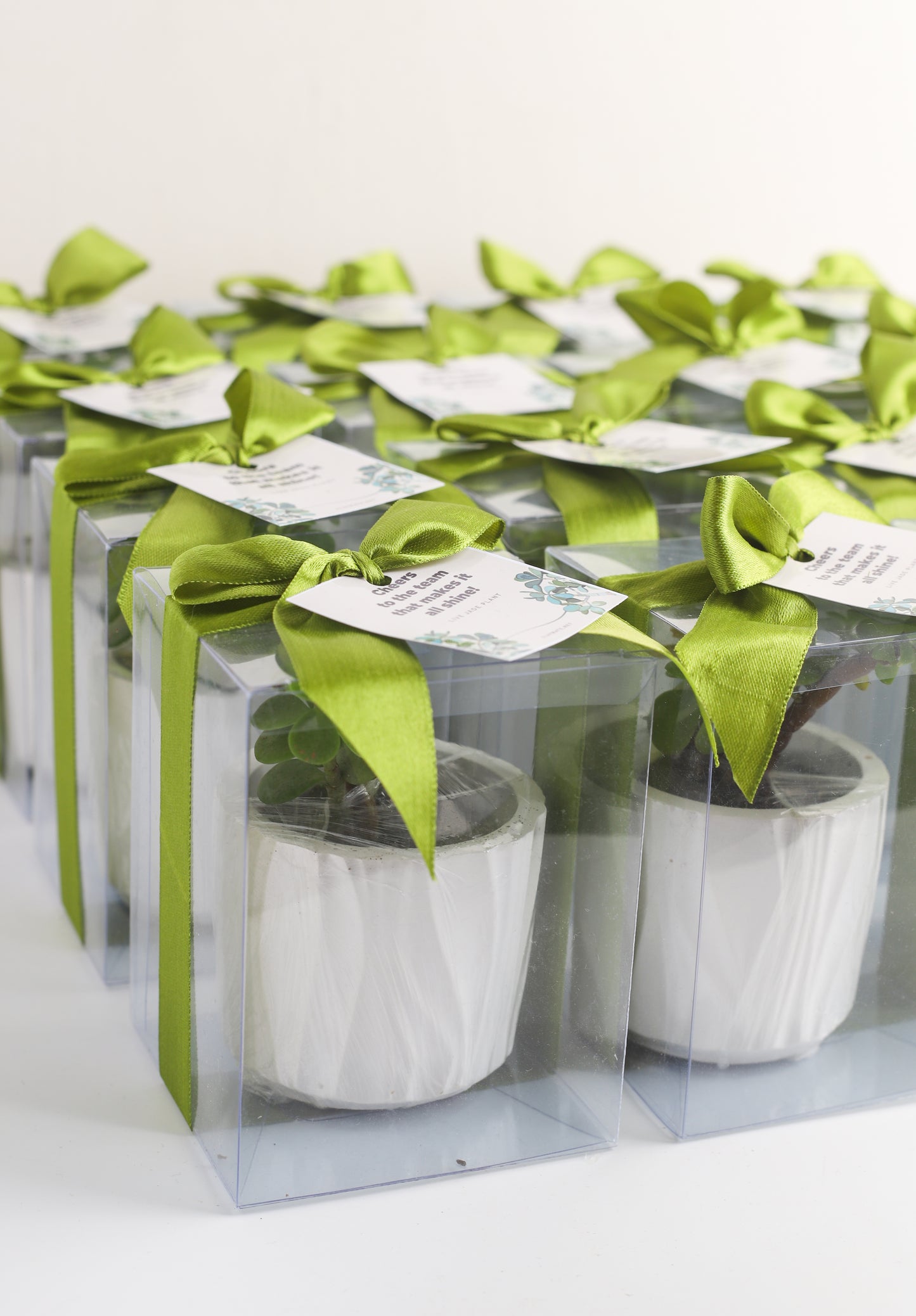 Planter Favors