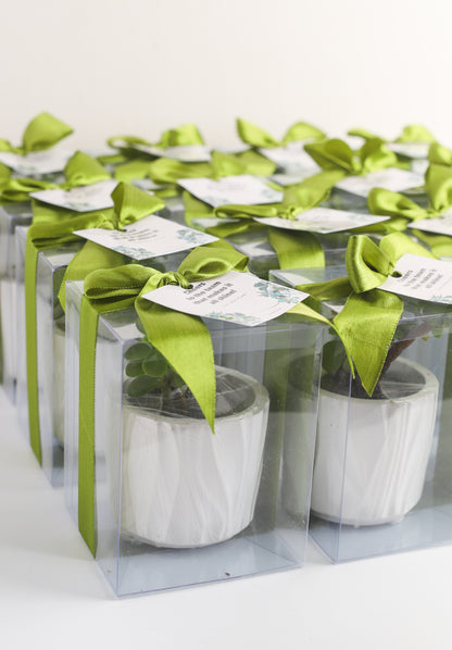Planter Favors