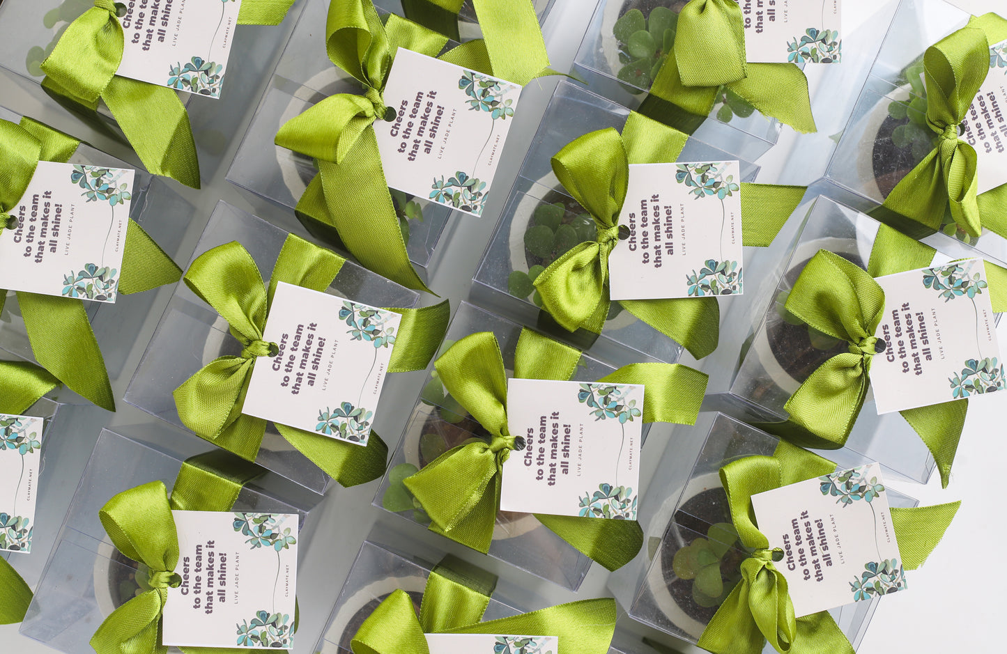 Planter Favors