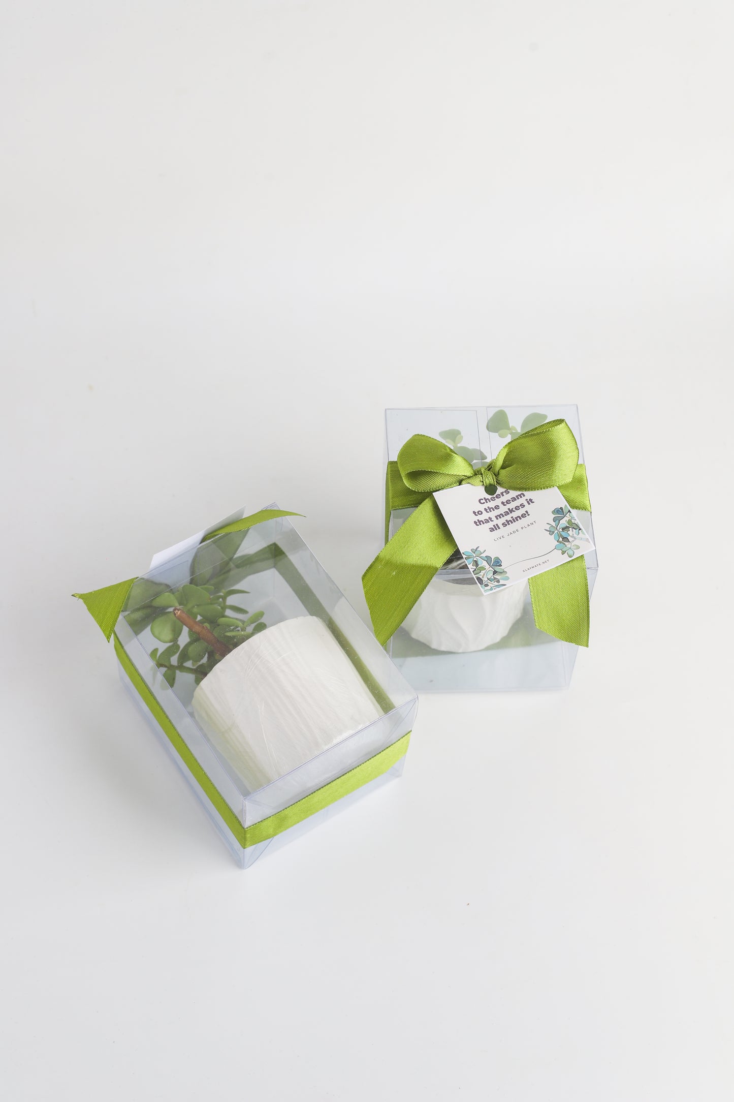 Planter Favors