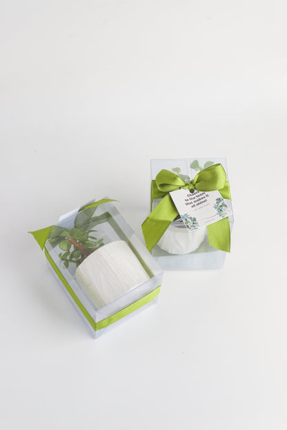 Planter Favors